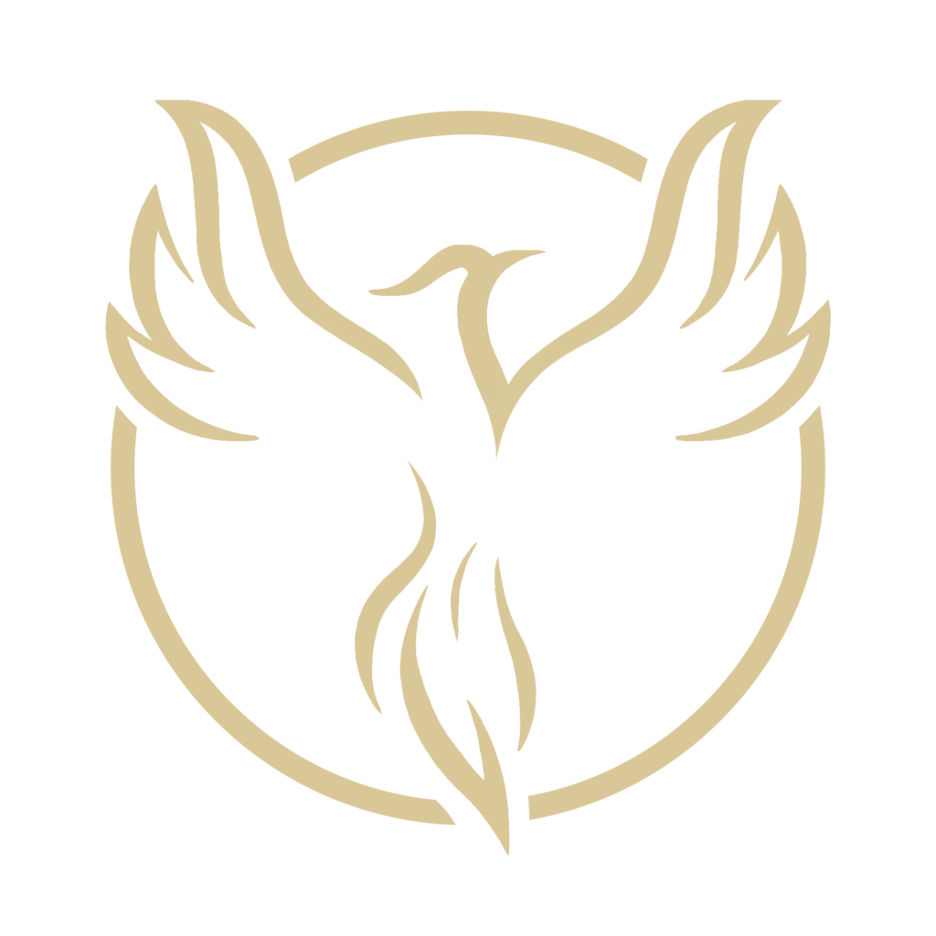 WEB FENIX-ROBOTICS