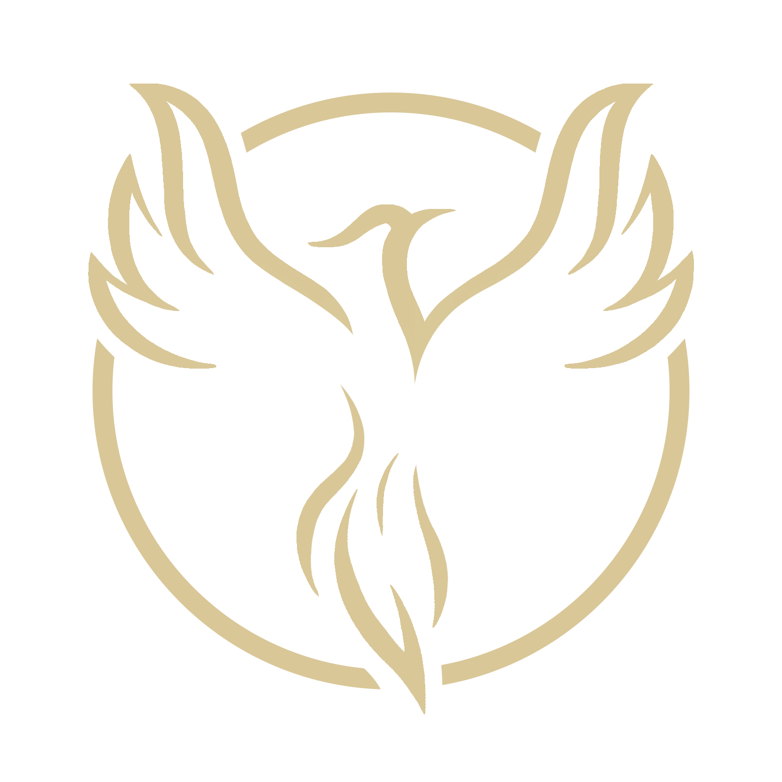 Logo Fénix Robotics
